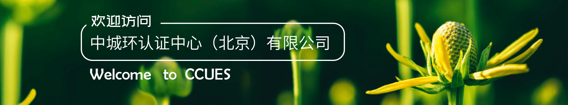 认证轮播图片